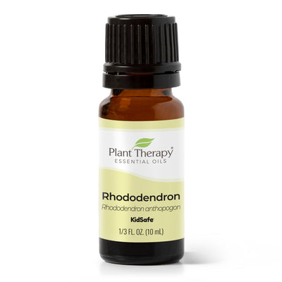 Rhododendron Essential Oil By Plant Therapy