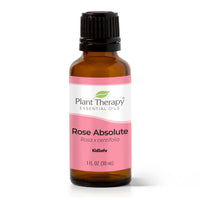 Rose Absolute Essential Oil By Plant Therapy