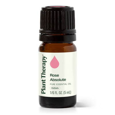 Rose Absolute Essential Oil By Plant Therapy