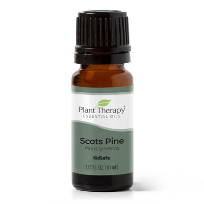 Scots Pine Essential Oil By Plant Therapy