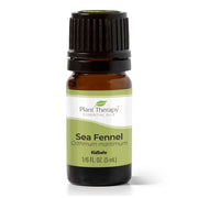 Sea Fennel Essential Oil By Plant Therapy
