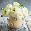 Ranunculus 10 Corms - Tecolote White By Easy To Grow Bulbs