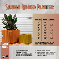 Desert Vista Planter Pot - Perfect Fit Drip Tray, Mesh Drainage With Size & Color Options