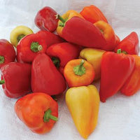 Snick Snack Pepper Seeds, Garden Vegetables