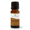 Star Anise Essential Oil By Plant Therapy