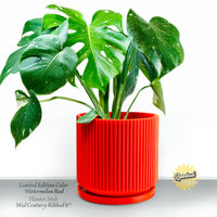 Mid-Century Ribbed Planter In Several Different Colors & Sizes