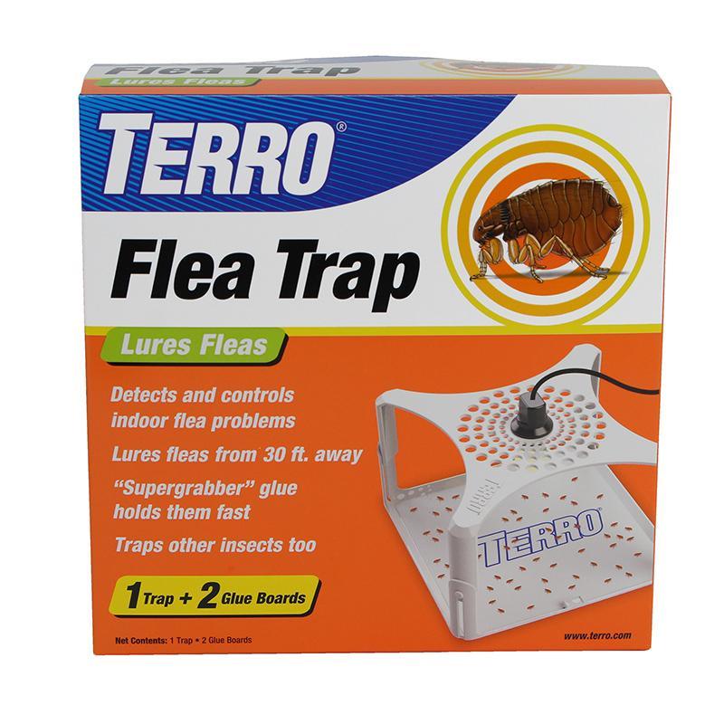 Terro Flea Trap | The Plant Attraction