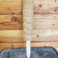 Moss Pole-Small Climbing Plant Support