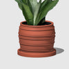 The Vintage Siena Planter With Color & Size Options