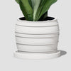 The Vintage Siena Planter With Color & Size Options