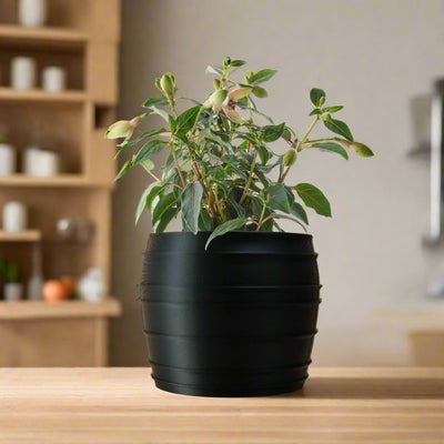 The Vintage Siena Planter With Color & Size Options