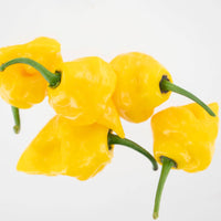 Trinidad Perfume Pepper Seeds, Fragrant & Little To No Heat Garden Vegetables
