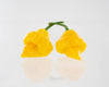 Trinidad Perfume Pepper Seeds, Fragrant & Little To No Heat Garden Vegetables