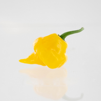 Trinidad Perfume Pepper Seeds, Fragrant & Little To No Heat Garden Vegetables