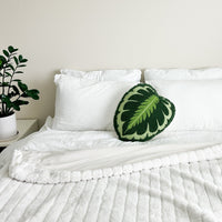 Tufted Calathea Medallion Plant Leaf Pillow