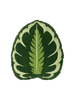 Tufted Calathea Medallion Plant Leaf Pillow