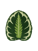 Tufted Calathea Medallion Plant Leaf Pillow