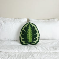 Tufted Calathea Medallion Plant Leaf Pillow