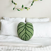 Tufted Calathea Orbifolia Plant Leaf Pillow