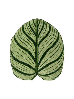 Tufted Calathea Orbifolia Plant Leaf Pillow