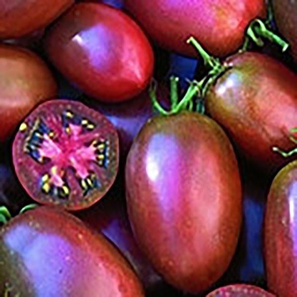 Ukrainian Purple Tomato Seeds, Garden Vegetables