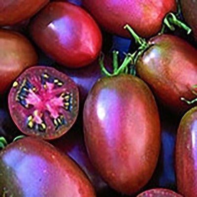 Ukrainian Purple Tomato Seeds, Garden Vegetables