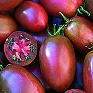 Ukrainian Purple Tomato Seeds, Garden Vegetables
