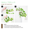Monstrella - Wall Mounted Trellis Plant Support