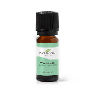 Wintergreen Essential Oil By Plant Therapy