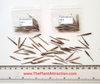 Phyllostachys Nigra 20 Seeds, Cold Hardy Black Running Bamboo