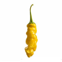 Yellow Peter Pepper Seeds (Non-Isolated), Rare Exotic Garden Vegetables