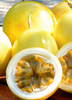 Passiflora edulis flavicarpa, Yellow Passion Fruit Vine- Live Plant
