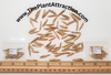 Bambusa Tulda 10 Seeds, Indian Bengal Timber Bamboo, Spineless and Clumping