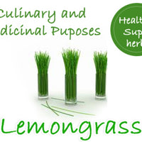 Cymbopogon Flexuosus 100+ Seeds, Edible Lemongrass East Indian Lemon Grass