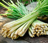 Cymbopogon Flexuosus 100+ Seeds, Edible Lemongrass East Indian Lemon Grass
