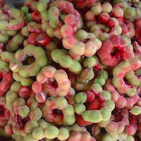 Pithecellobium Dulce Tree 15 Seeds, Manila Tamarind, Madras Thorn, or Camachile