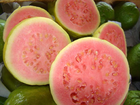 Psidium Guajava 30/300/1800/5400 Seeds, Common Fragrant Apple Guava Fruit  Tree Shrub Bonsai
