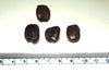 Tamarindus Indica 10/100 Seeds, Tamarind Fruit, Edible Medicinal Herb