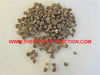 Abelmoschus Moschatus 20/500/2,500 Seeds, Hibiscus Musk Mallow, Musk Okra