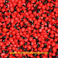 Abrus Precatorius Vine 20 Seeds, Craft Jewelry Beads, Rosary Pea