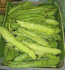 Psophocarpus Tetragonolobus 5 Seeds, Vegetable Winged Bean, Nitrogen Fixing Fodder