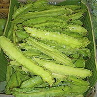 Psophocarpus Tetragonolobus 5 Seeds, Vegetable Winged Bean, Nitrogen Fixing Fodder