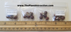Psophocarpus Tetragonolobus 5 Seeds, Vegetable Winged Bean, Nitrogen Fixing Fodder