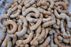 Tamarindus Indica 10/100 Seeds, Tamarind Fruit, Edible Medicinal Herb